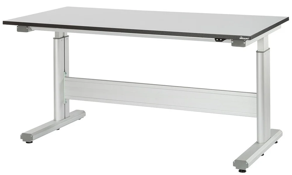 GIGANT BORD FLEX 250 VINYL L1200X800 v:7697515