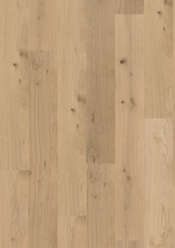 TREGULV MAXWOOD XLW EK UNIQUE RAW v:2160221