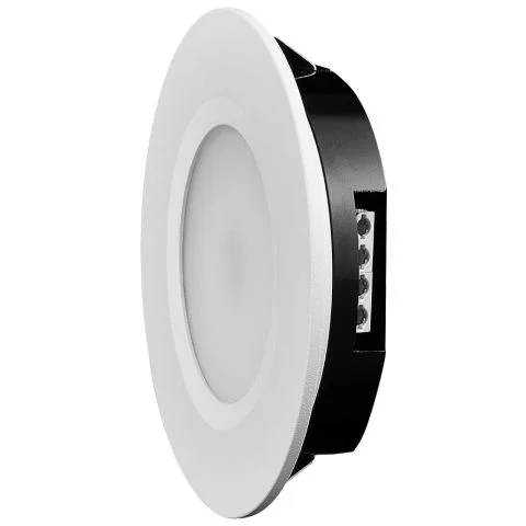 Q-35MW Designlight Downlight 3080293