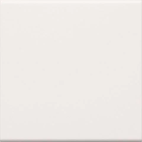 GW1B9016 Hager Vippe 3105646