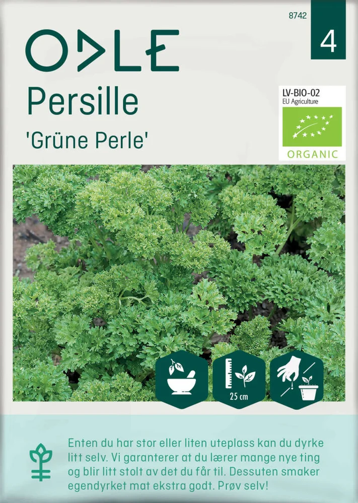 Odle 'Grüne Perle' persille frø v:4473706