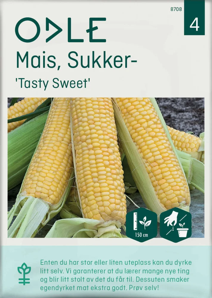 Odle 'Tasty Sweet' sukker mais frø v:2644474 Odle 'Tasty Sweet' sukker mais frø v:2644474