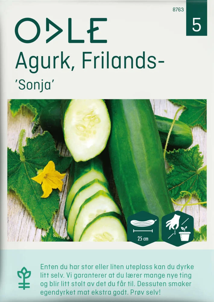 Odle agurk, frilands-, sonja frø v:8562752 Odle agurk, frilands-, sonja frø v:8562752