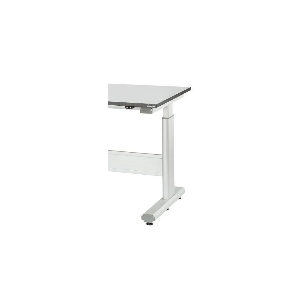 GIGANT GAVELPAR GIGANT FLEX 250 D730MM v:2656979 GIGANT GAVELPAR GIGANT FLEX 250 D730MM v:2656979