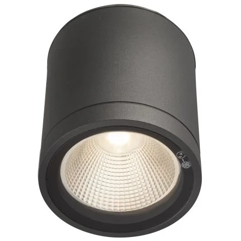 Milo XL Down Hide-a-Lite Downlight 3022214