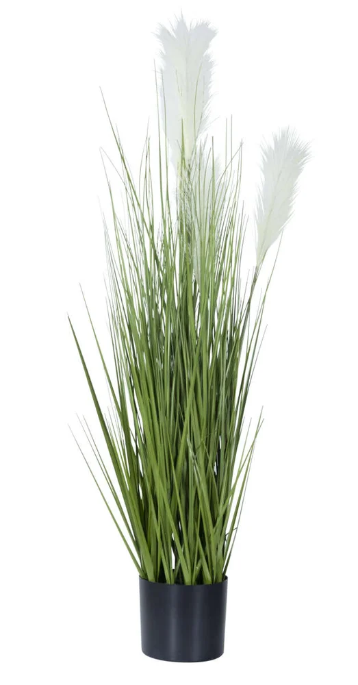 Gress i potte med pampas v:2174376